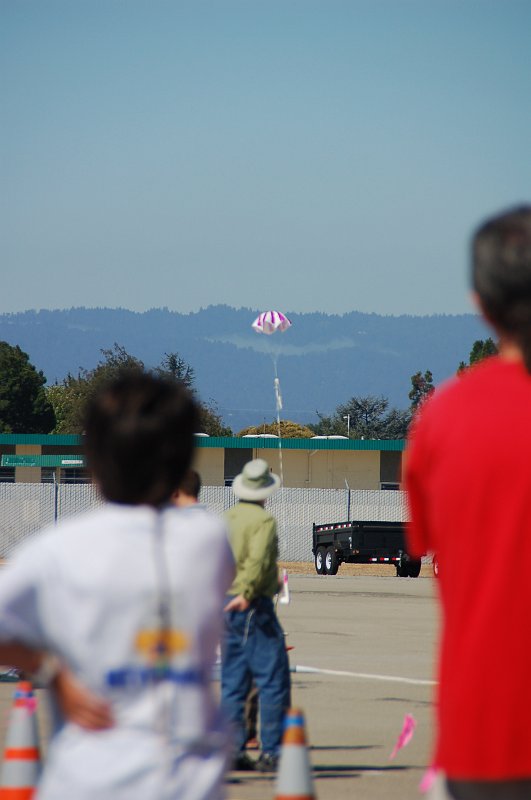 DSC_0763.JPG - Hi Jinx touching down after flight.